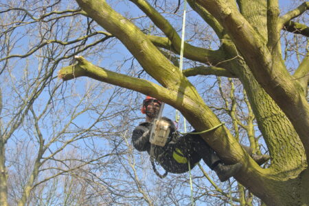 Machinale Kroonverzorging