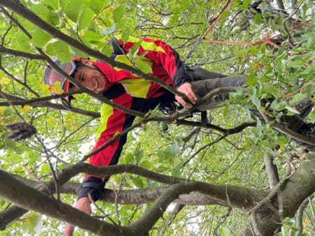Opleiding European Treeworker