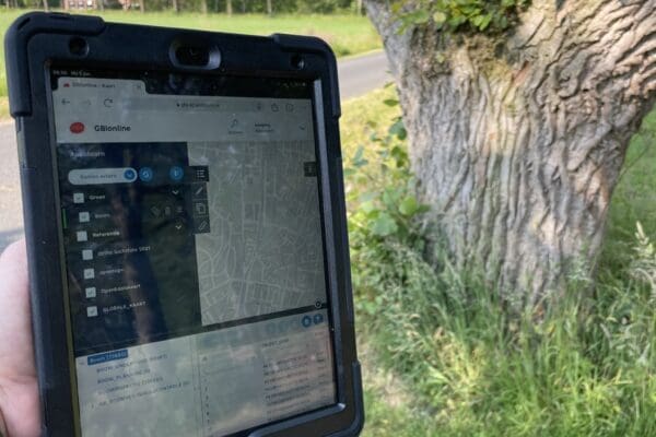 Data Inspecteur Bomen – Veiligheid en Onderhoud (DIB)