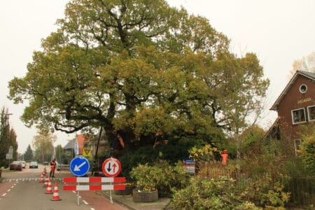 Ruurlo, het dorp rond de Kroezeboom