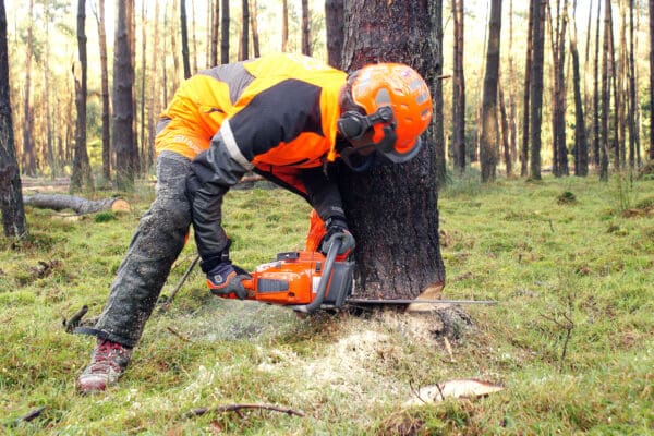 NKC 3 – Vellen zonder hulpmiddelen tot diameter 30 cm