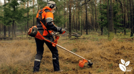 Basistrainingen bosmaaien