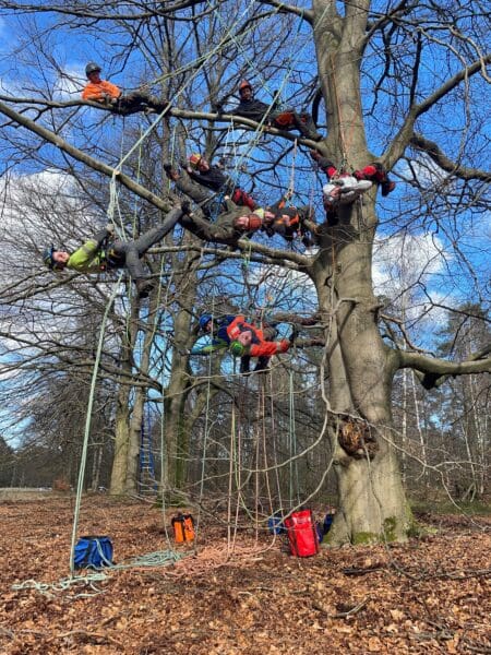 Klimtechniek in bomen