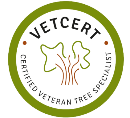 Veteraanbomenbeheer