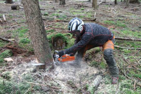 Leer meer over het werken met stormhout tijdens de training “Hout onder spanning”