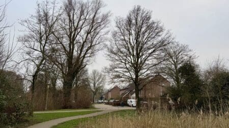 Persbericht: Scholingskansen