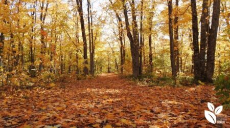 De herfst is weer begonnen!
