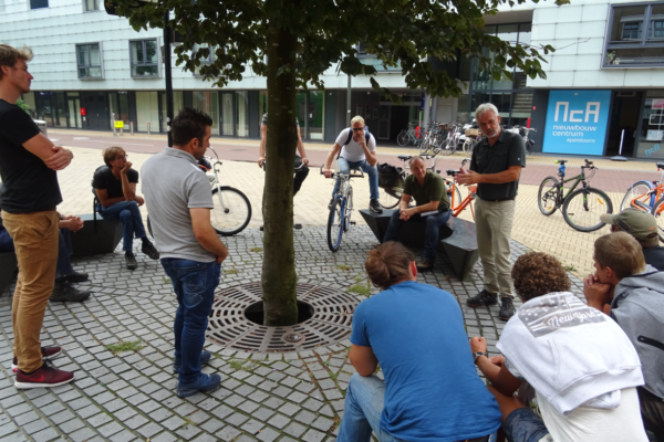 Participatie bij boombeheer projecten