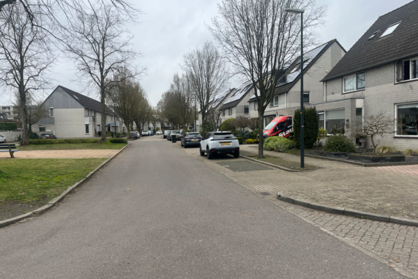 Bomen in naoorlogse woonstraten en woonwijken