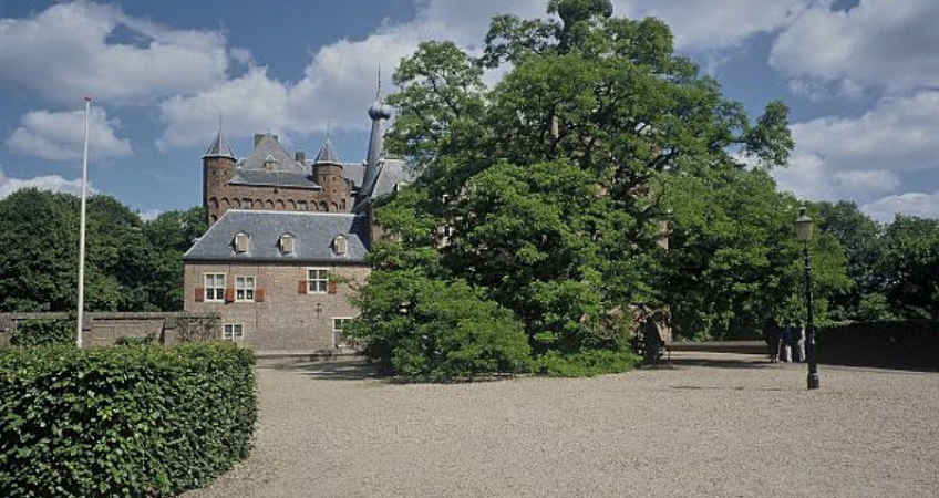 De acacia van kasteel Doorwerth